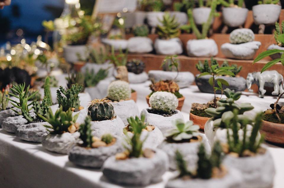 12301694_624212107716748_1032472404477959647_n