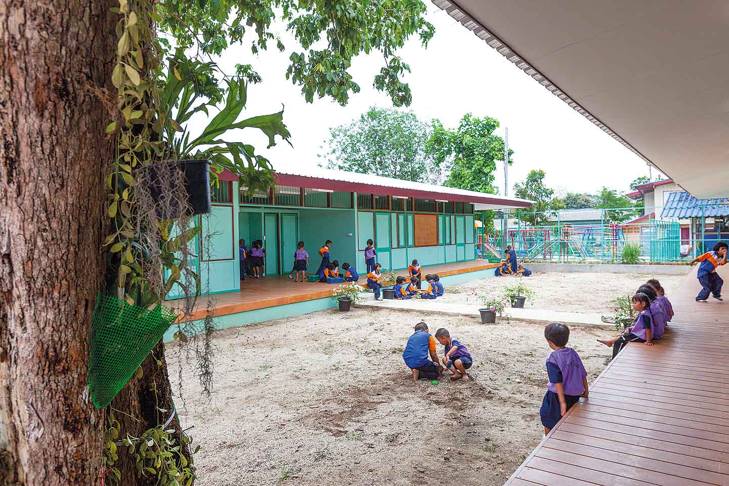 ร่มไม้ใหญ่ช่วยเชื่อมโยงพื้นที่กลางแจ้งสู่ชานไม้และห้องเรียน