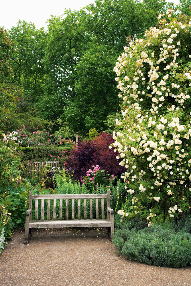 มุมนั่งเล่นในสวน ต้นไม้ดอกหอม