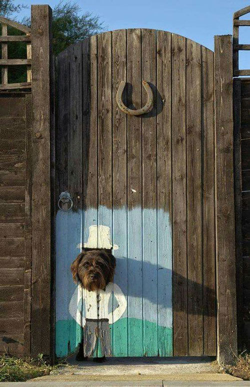 ช่องแอบมองทางประตูของหมาแมวเพ้นท์สีสดใส