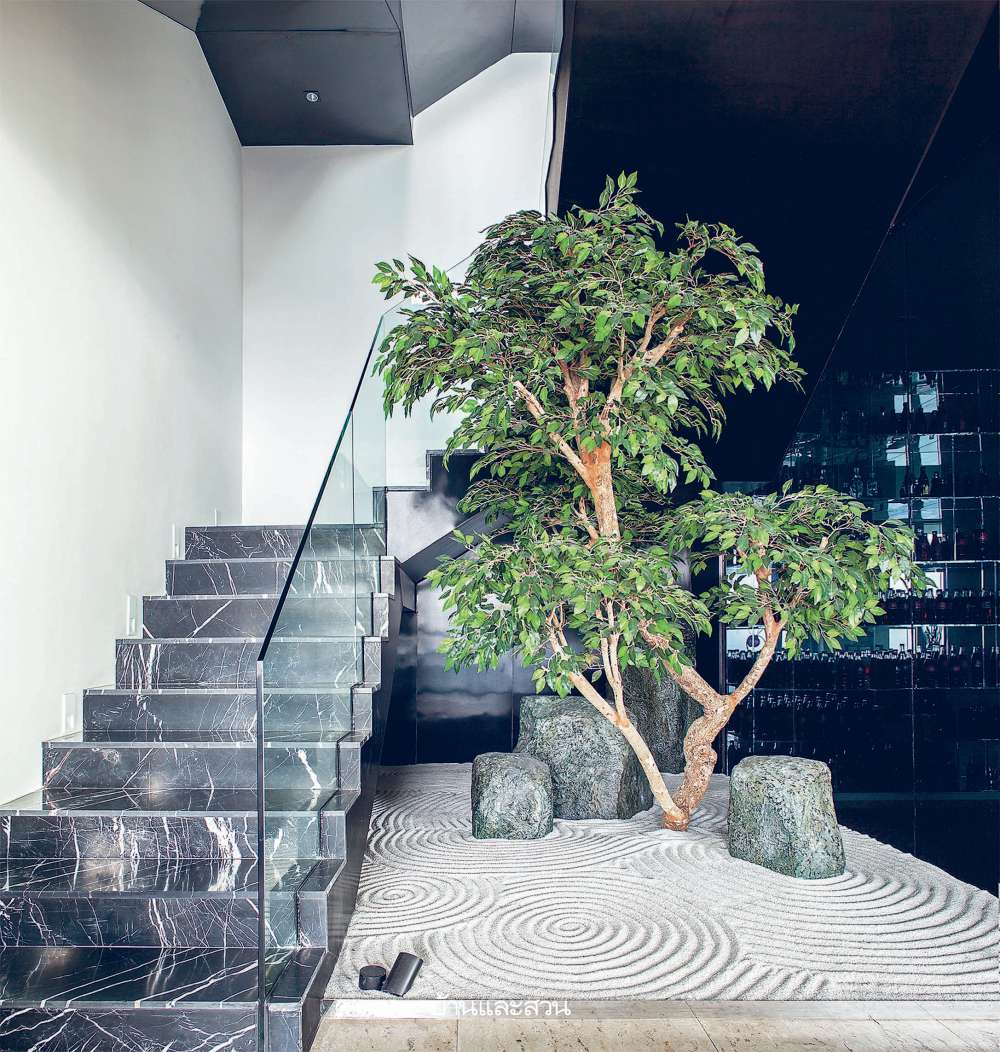 ปลูกต้นไม้ในบ้าน สวนญี่ปุ่น สวนหิน