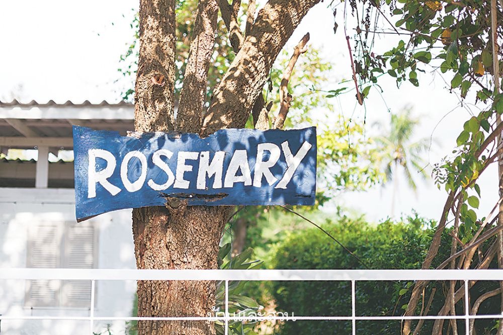 Rosemary House
