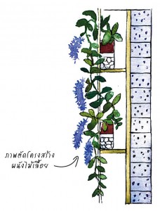 vertical garden 2