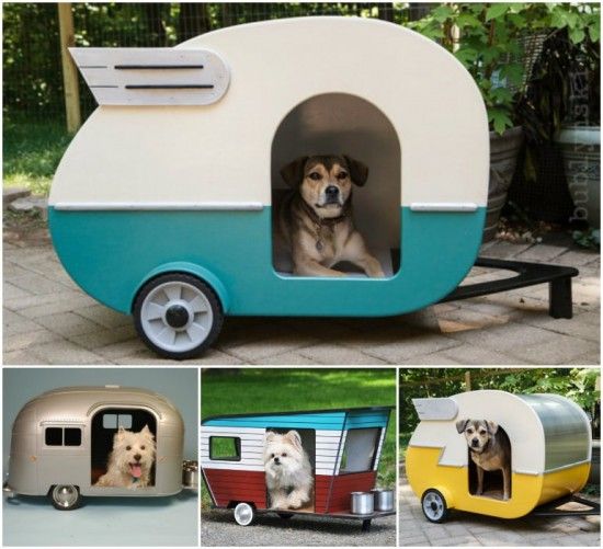 ภาพ : http://freshome.com/2014/09/08/cool-dog-house-upgrade-instantly-endearing-pet-trailer-design/