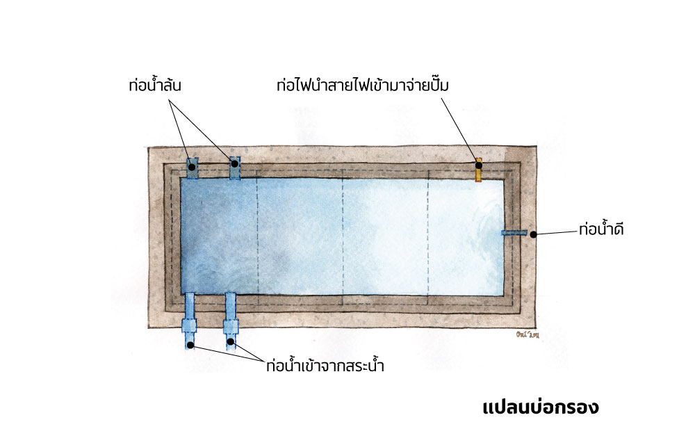 แปลนบ่อปลา น้ำในบ่อปลาเขียวขุ่น