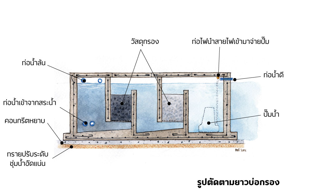 แปลนบ่อปลา บ่อกรอง น้ำในบ่อปลาเขียวขุ่น