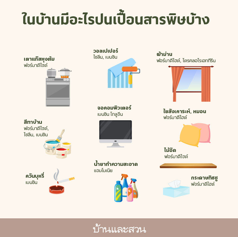 ต้นไม้ดูดสารพิษ ต้นไม้ฟอกอากาศ ต้นไม้ฟอกอากาศในบ้าน