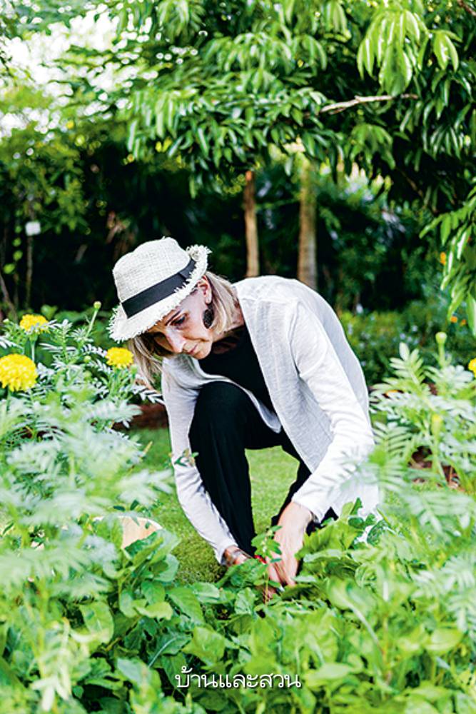 สวน Permaculture แบบสวน บ้านชั้นเดียว