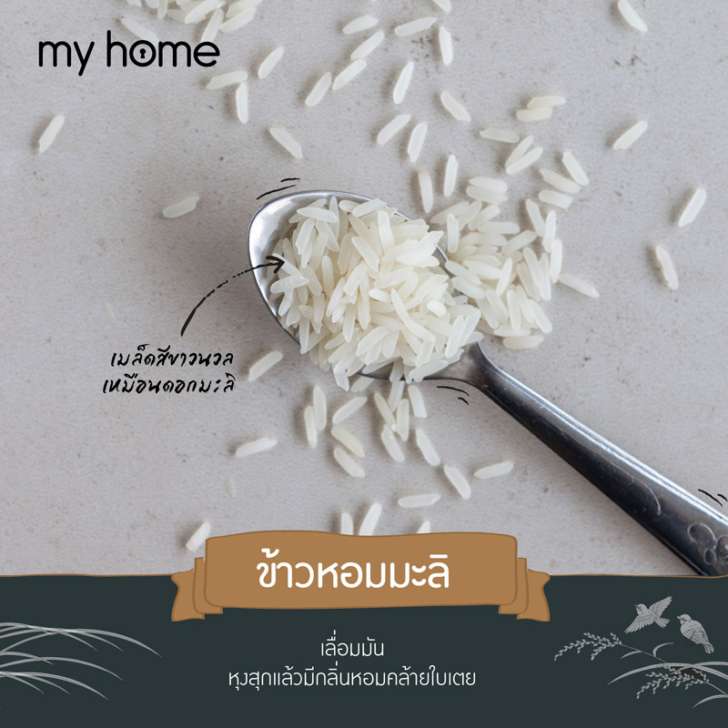 ข้าวหอมมะลิ 