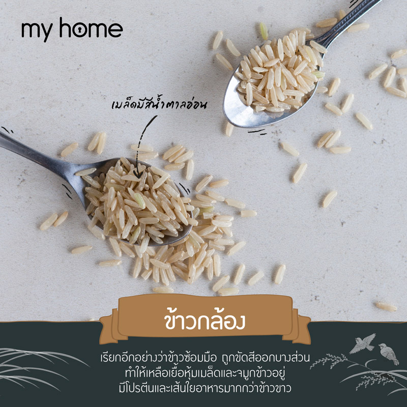 ชนิดของข้าว ข้าวกล้อง ข้าวซ้อมมือ ข้างแดง ข้าวเพื่อสุขภาพ