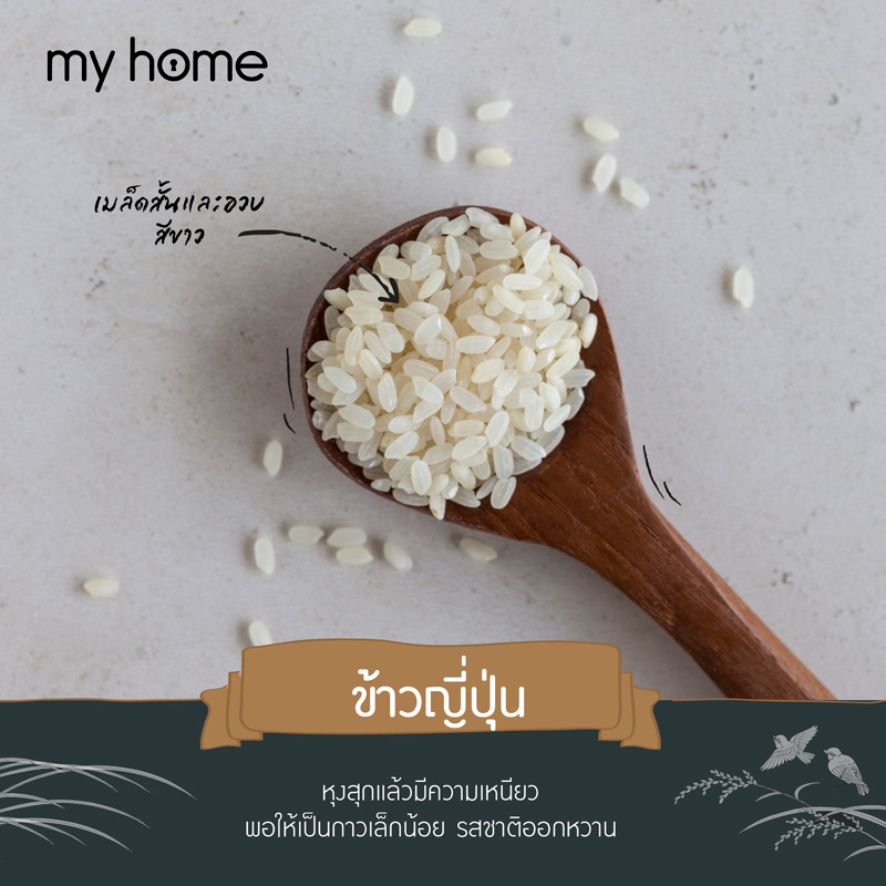 ชนิดของข้าว ข้าวญี่ปุ่น ข้าวเมล็ดสั้น 