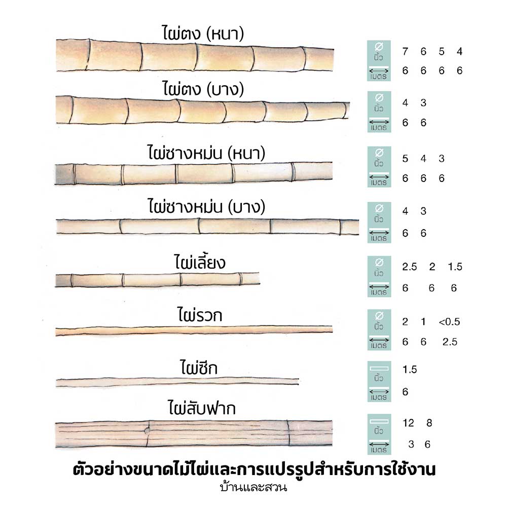 ไม้ไผ่