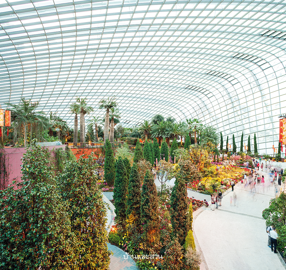 Gardens by the Bay สวนสิงคโปร์