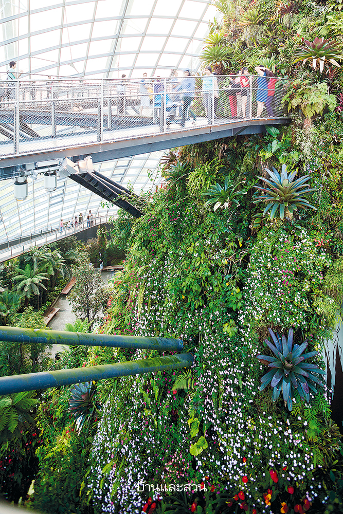 Gardens by the Bay สวนสิงคโปร์