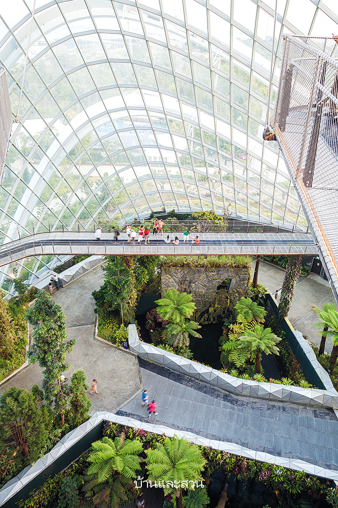 Gardens by the Bay สวนสิงคโปร์