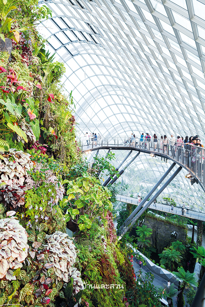 Gardens by the Bay สวนสิงคโปร์