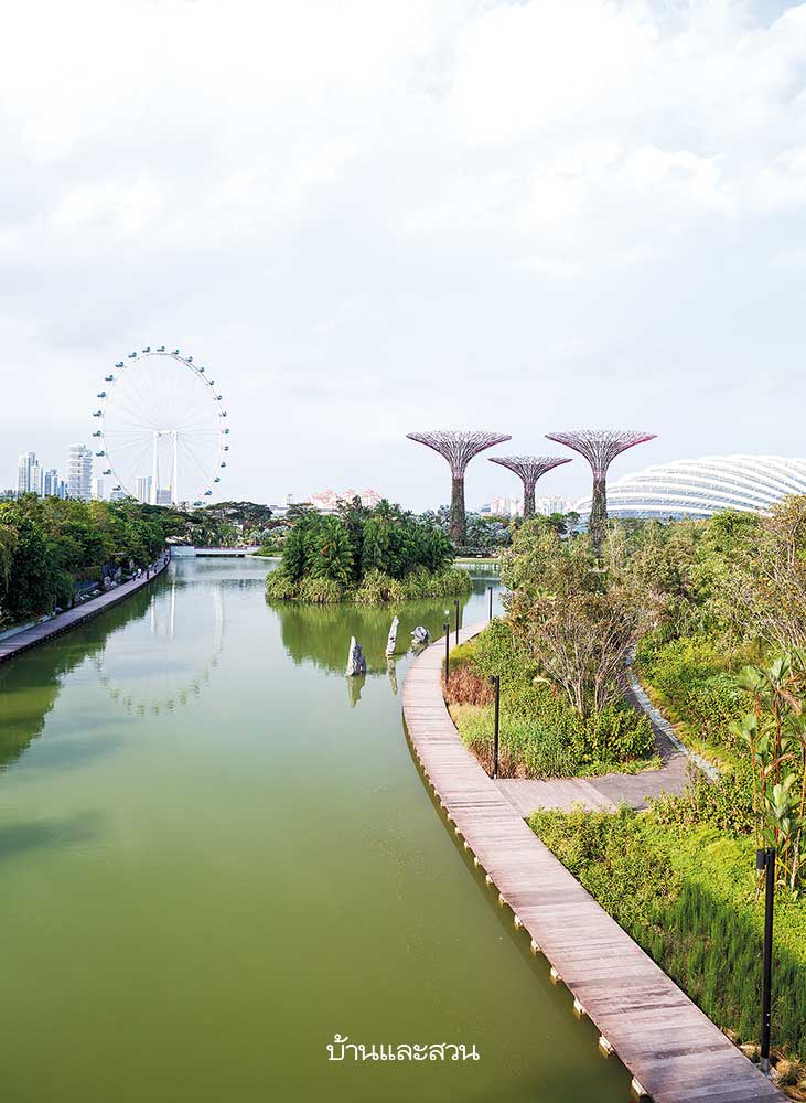 Gardens by the Bay สวนสิงคโปร์