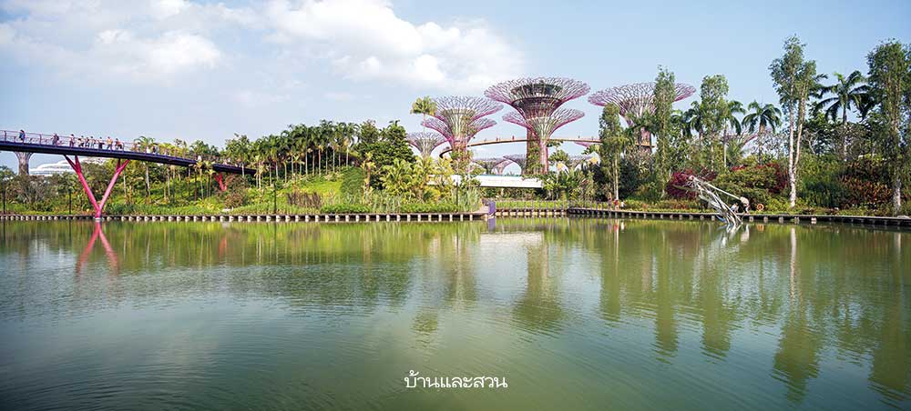 Gardens by the Bay สวนสิงคโปร์