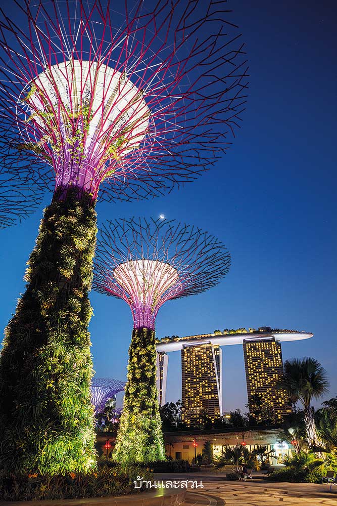 Gardens by the Bay สวนสิงคโปร์