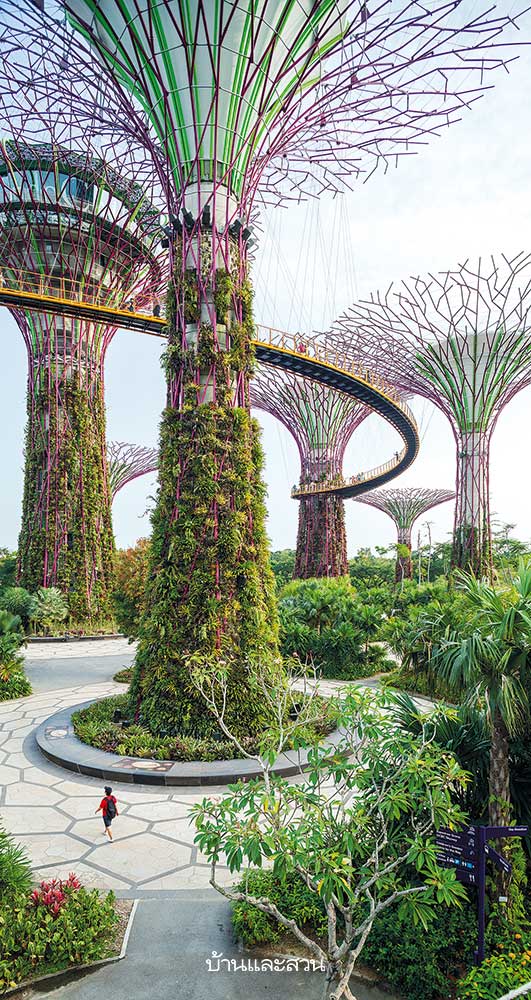 supertree Gardens by the Bay สวนสิงคโปร์
