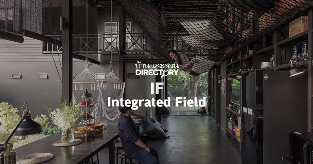 IF Integrated Field