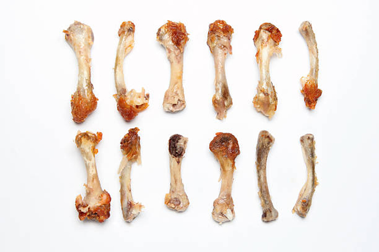 Chicken bones