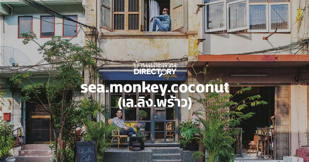 sea.monkey.coconut (เล.ลิง.พร้าว)