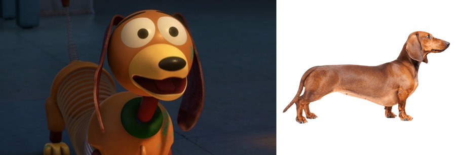 Slinky Dog is Dachshund.