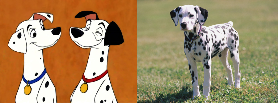 Pongo and Perdita are Dalmatian.