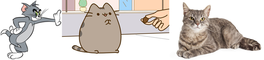 Tom and Pusheen are Domestic Shorthair.