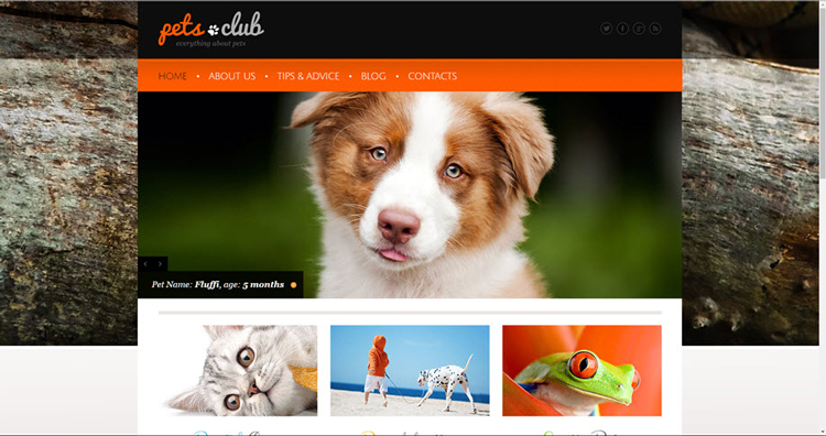 Pets Drop shipping Online Business Website opportunity for sale.