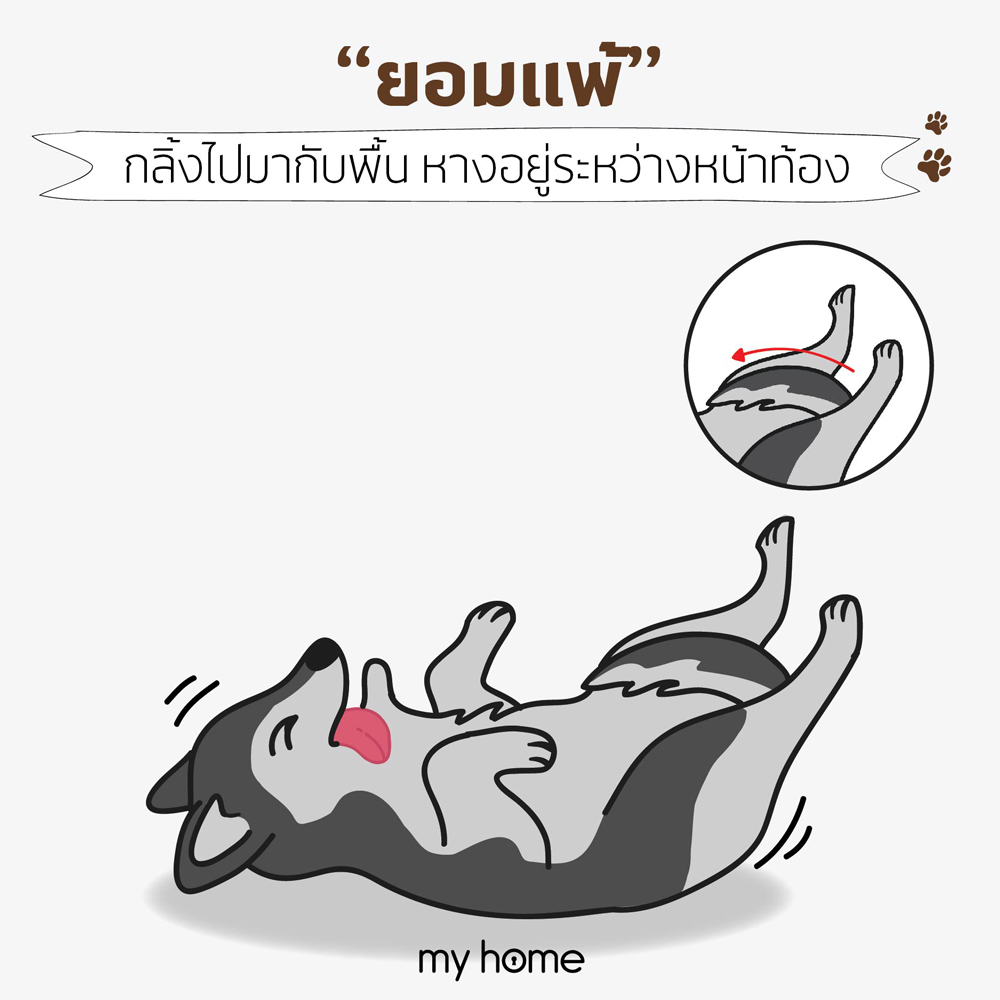 อารมณ์ "ยอมแพ้"