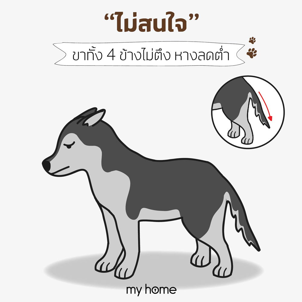 รมณ์ "ไม่สนใจ"