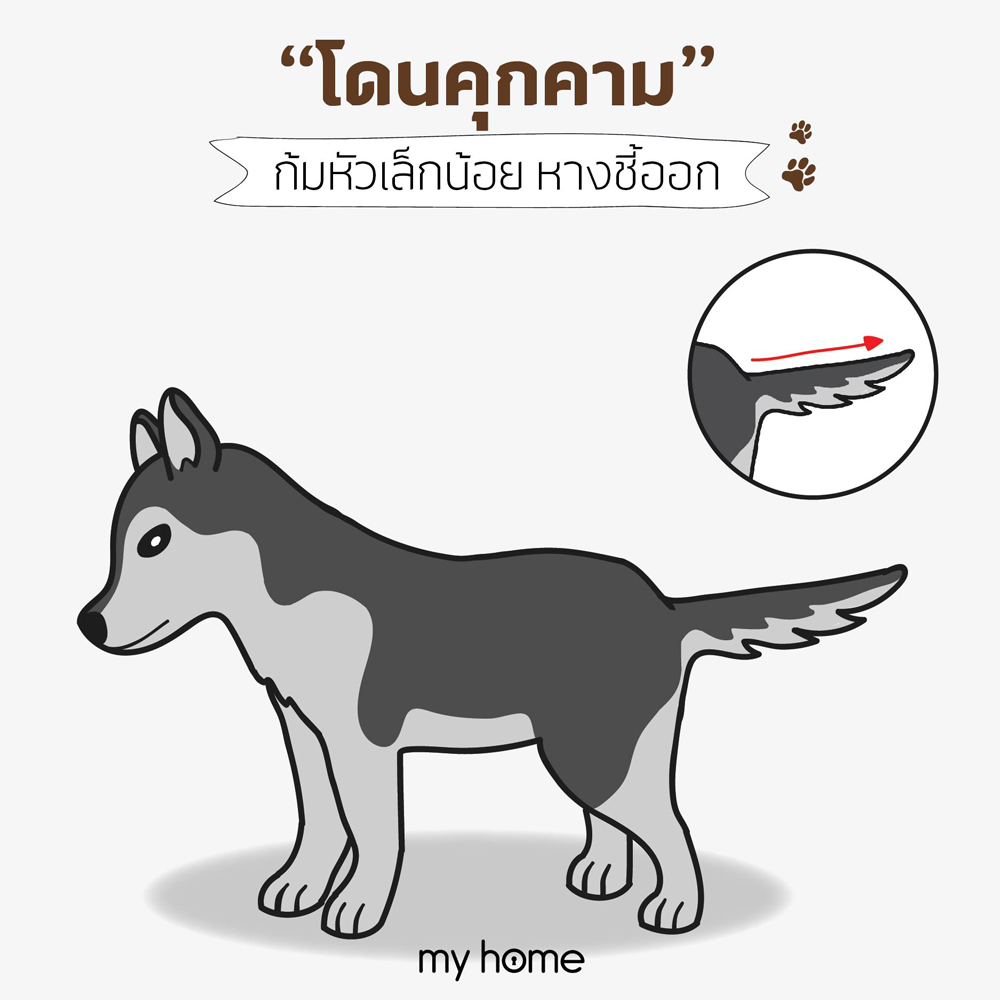 อารมณ์ "โดนคุกคาม"