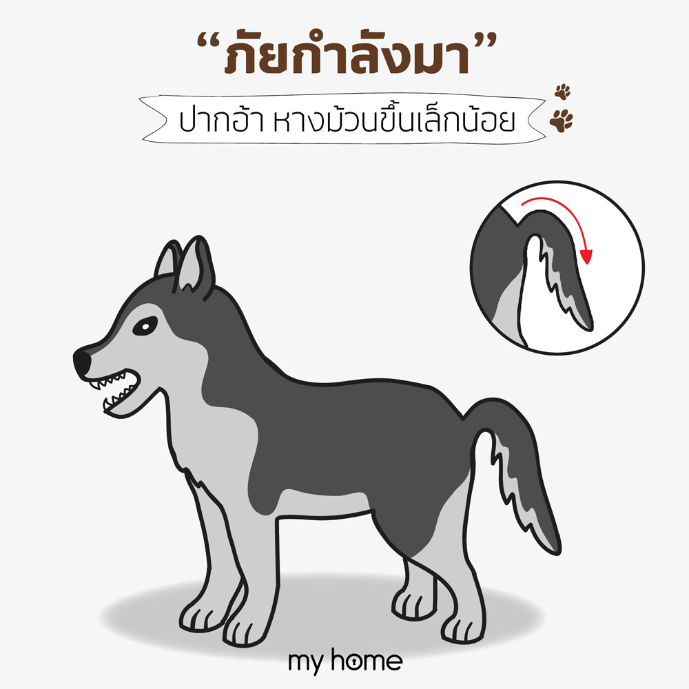 อารมณ์ "ภัยกำลังมา"