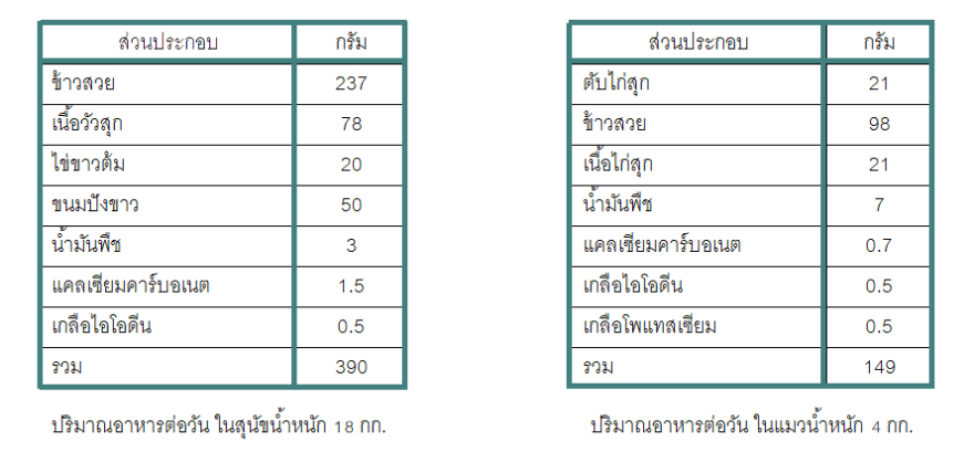 อาหารปรุงเองสำหรับสัตว์ป่วยโรคไต