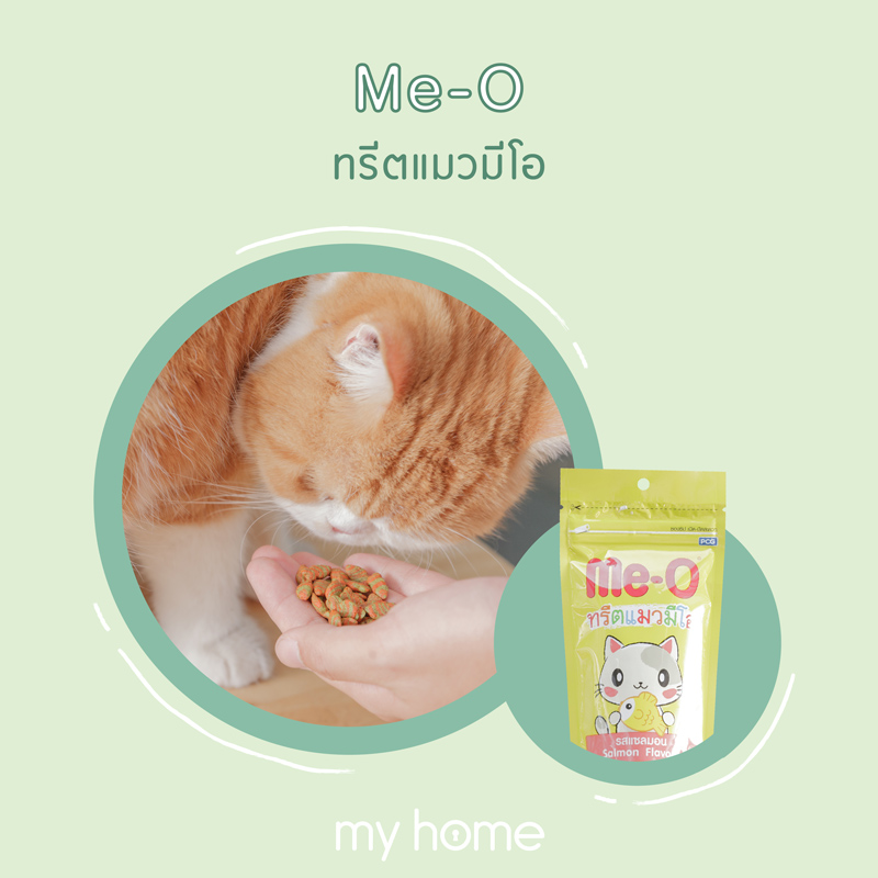 ขนมแมว ขนมแมวยอดฮิต ขนมแมวยี่ห้อไหนดี มีโอ