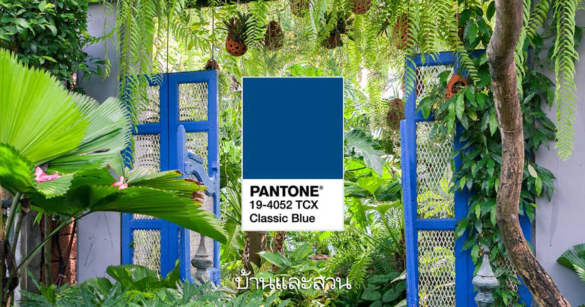 ดอกไม้สีน้ำเงิน pantone 2020