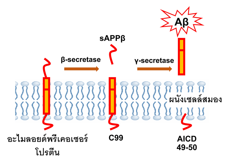 โรคอัลไซเมอร์ในสัตว์เลี้ยง 