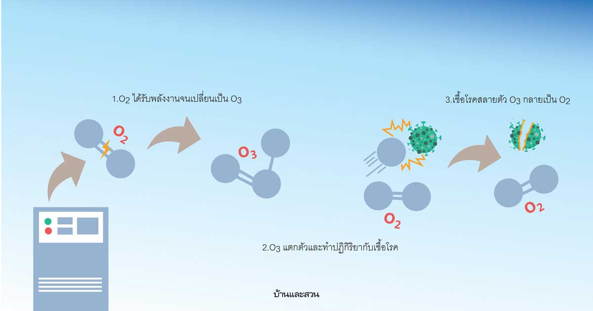 ฆ่าเชื้อโรคในบ้าน