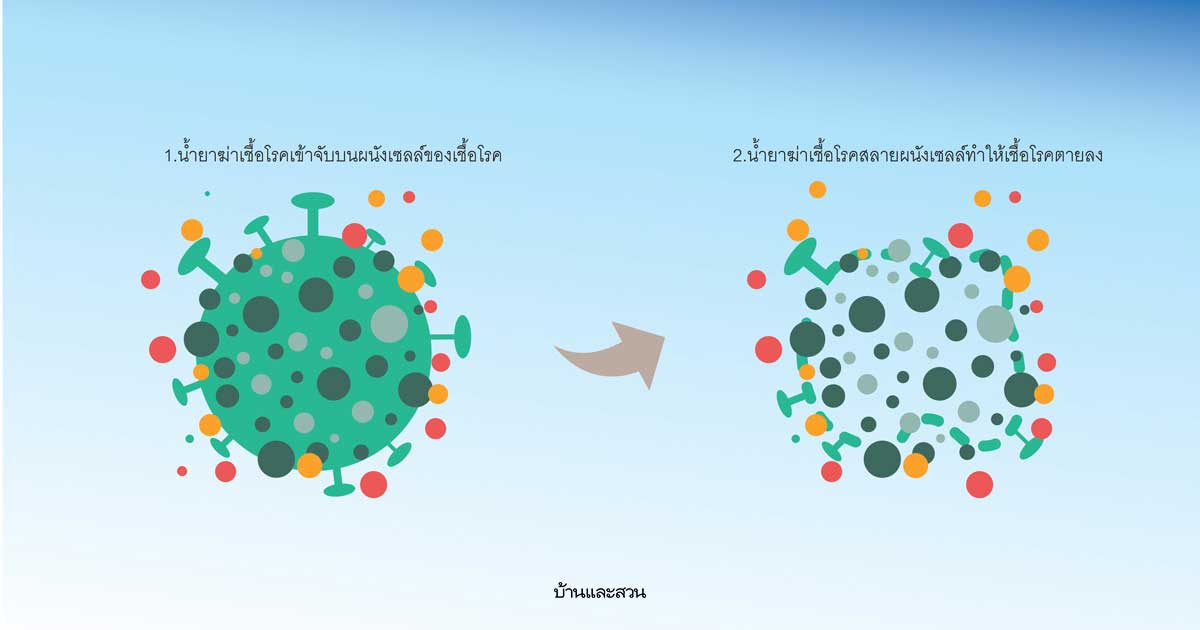 ฆ่าเชื้อโรคในบ้าน