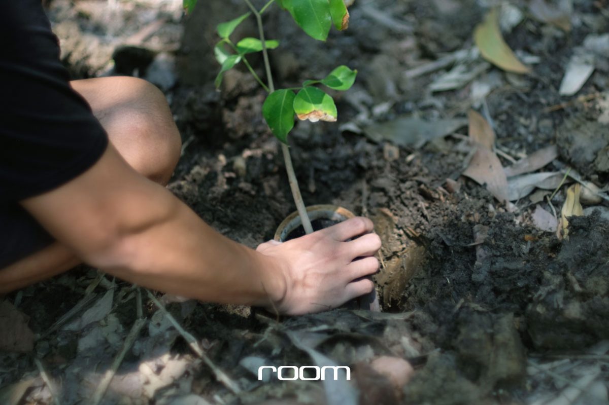คนในสวนและคุณตั้มกำลังช่วยกันปลูกต้นไม้ การเพาะกล้าจะใช้ไม้ไผ่ฝังลงไปเลย เมื่อไม้ไผ่ผุก็ย่อยสลายต่างจากการใช้ถุงพลาสติกดำเพาะชำ