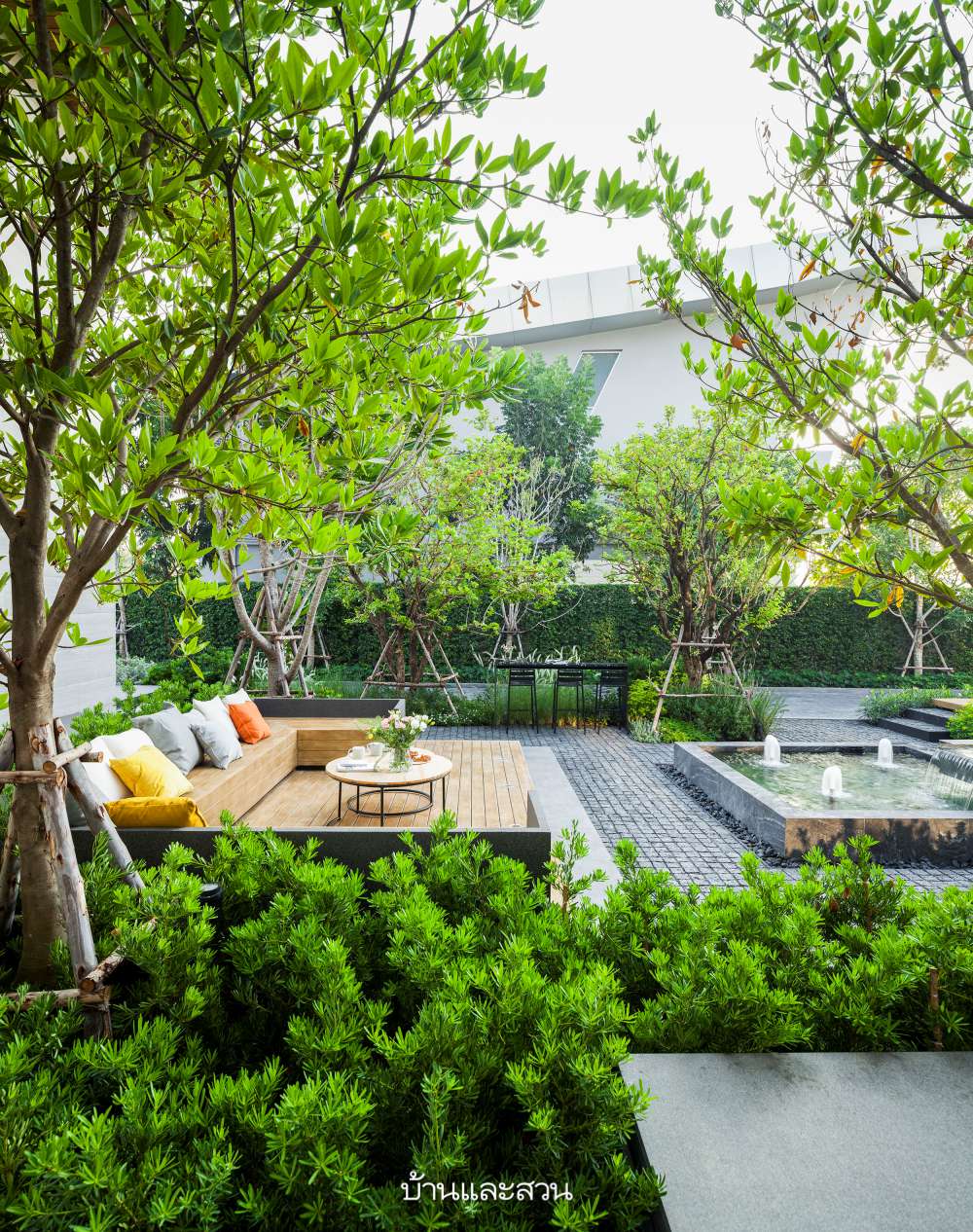 modern minimal garden