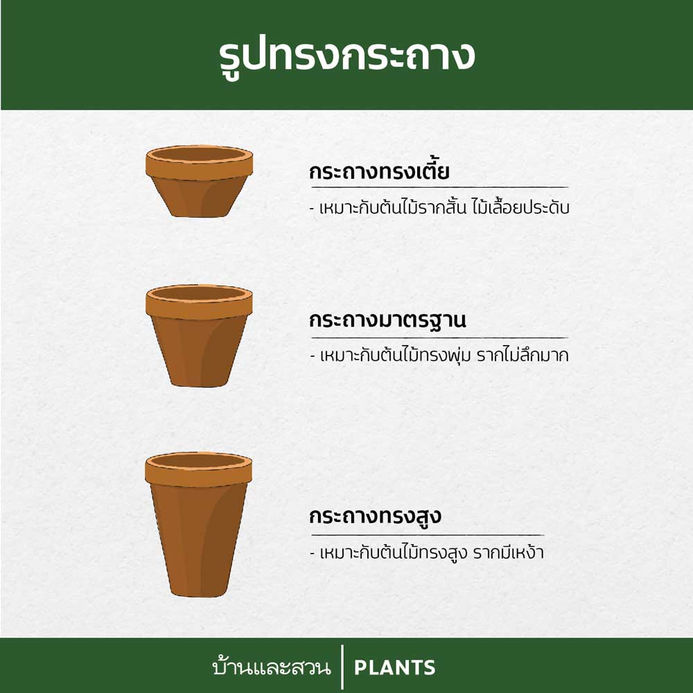 รูปทรง กระถางต้นไม้