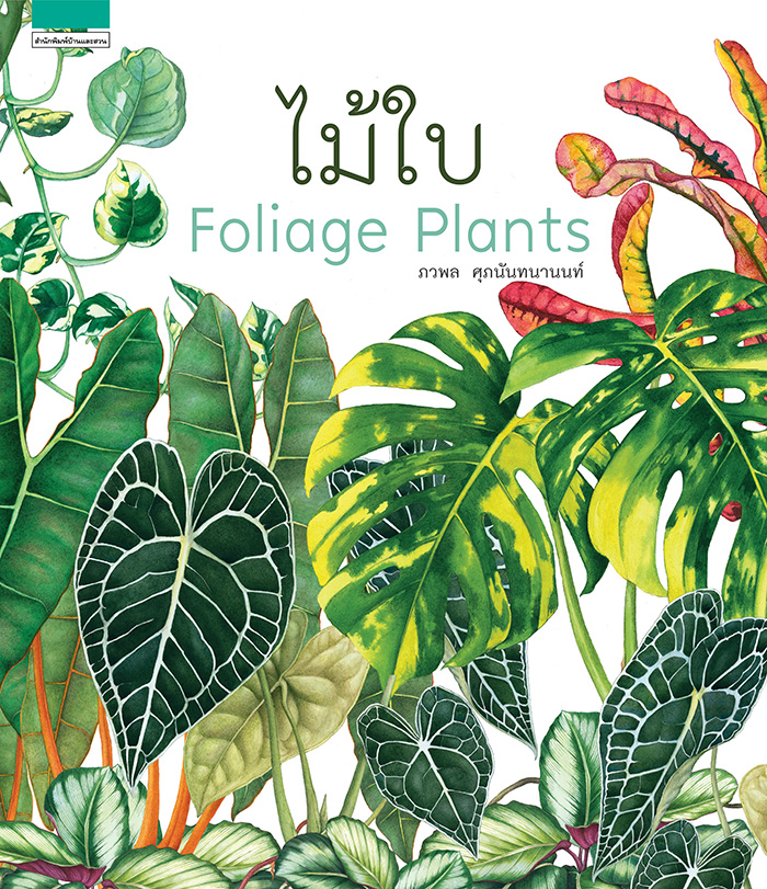 ไม้ใบ : Foliage Plants