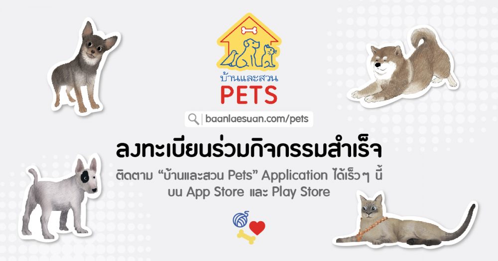 ลงทะเบียนร่วมกิจกรรม