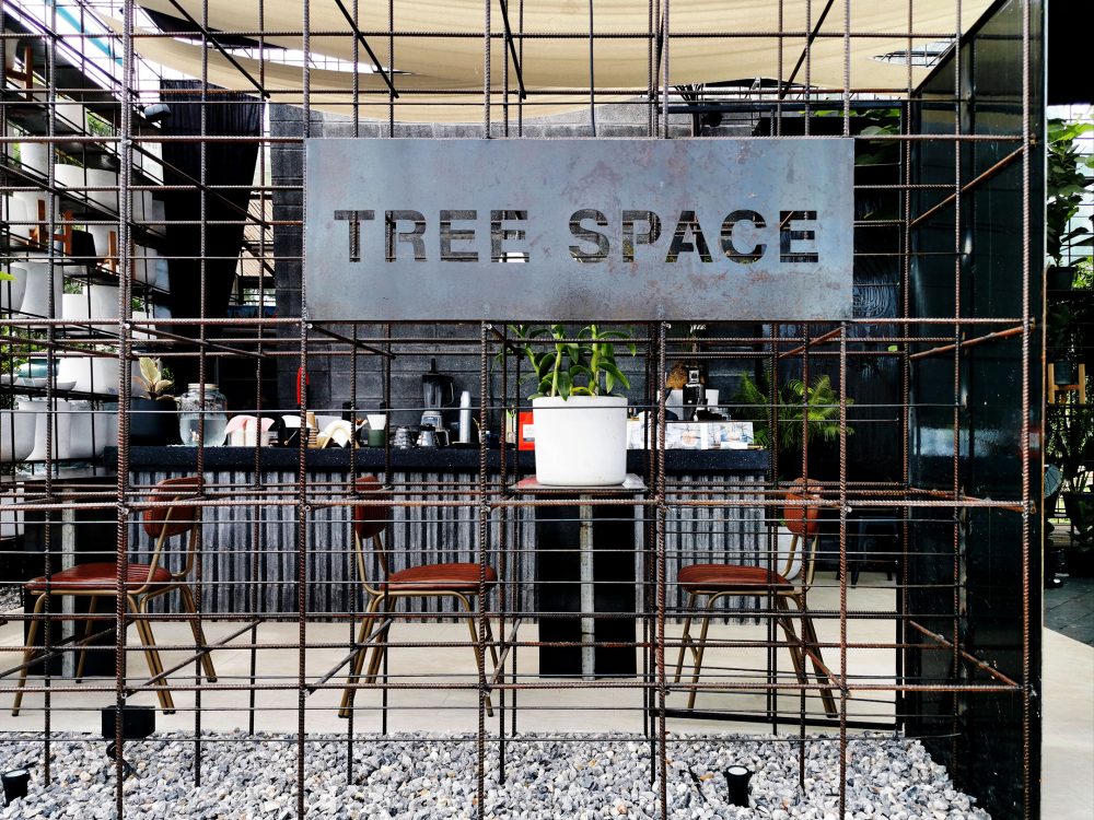คาเฟ่สุราษฎร์ฯ TREE SPACE ร้านขายกระถาง คาเฟ่ต้นไม้