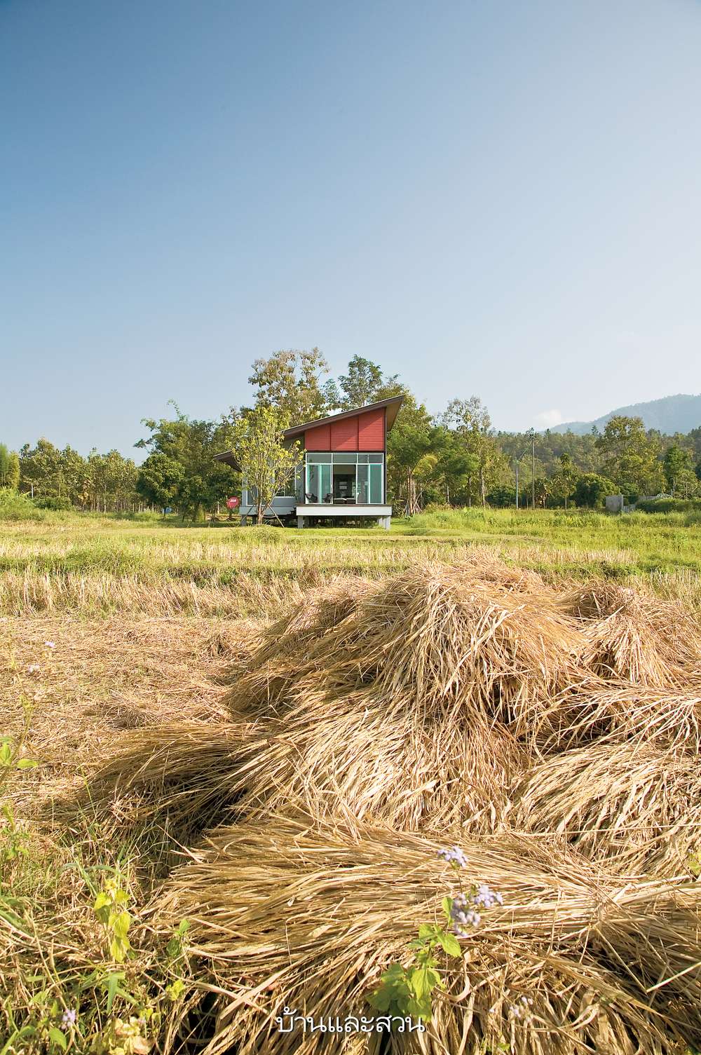 บ้านกลางทุ่งนา บ้านชั้นเดียว