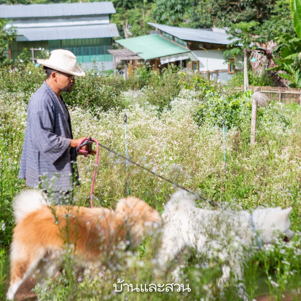 Mori Natural Farm ที่พักเชียงใหม่ บ้านฟาร์ม บ้านชนบท บ้านเชียงใหม่ 