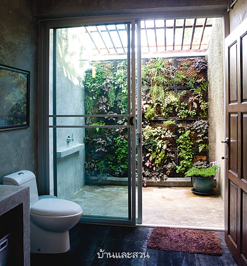 ห้องน้ำ สวนแนวตั้ง สวนในห้องน้ำ